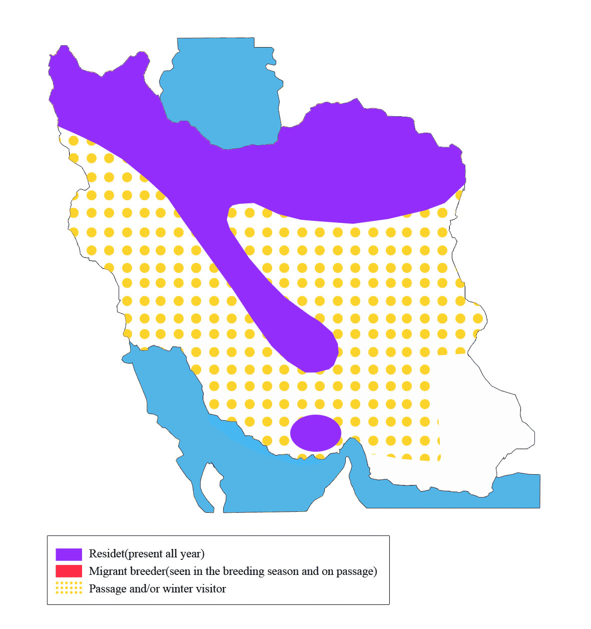 نقشه پراکندگی کورکور سیاه